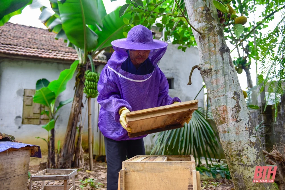 Mùa ong làm mật