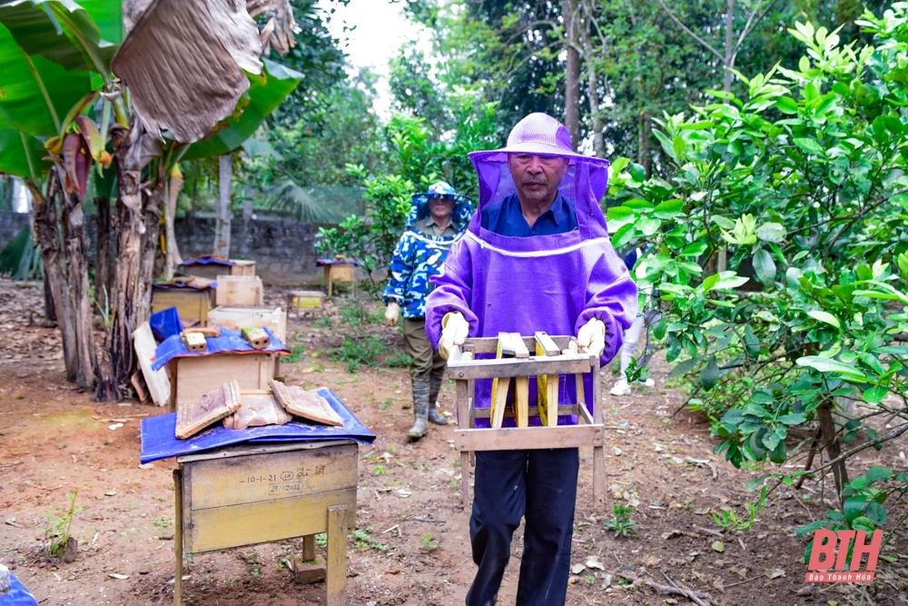 Mùa ong làm mật
