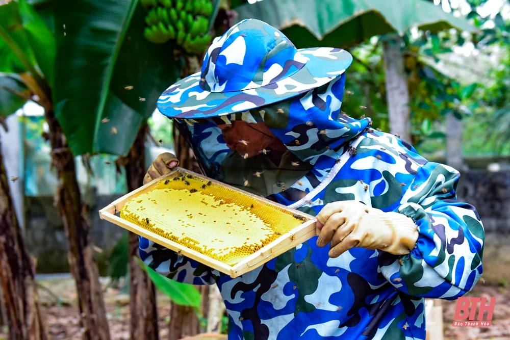 Mùa ong làm mật