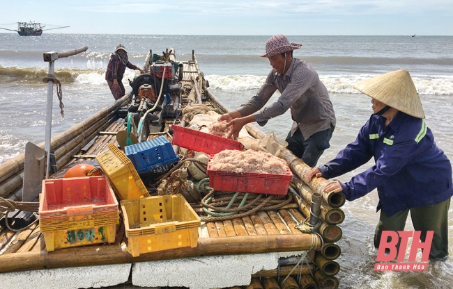 Xã Hoằng Thanh phát triển kinh tế đa nghề