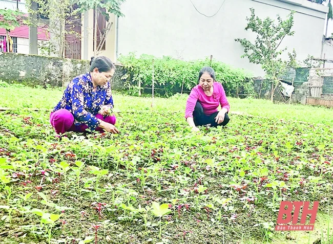 Đảng bộ huyện Vĩnh Lộc chú trọng nâng cao chất lượng tổ chức cơ sở đảng, đảng viên