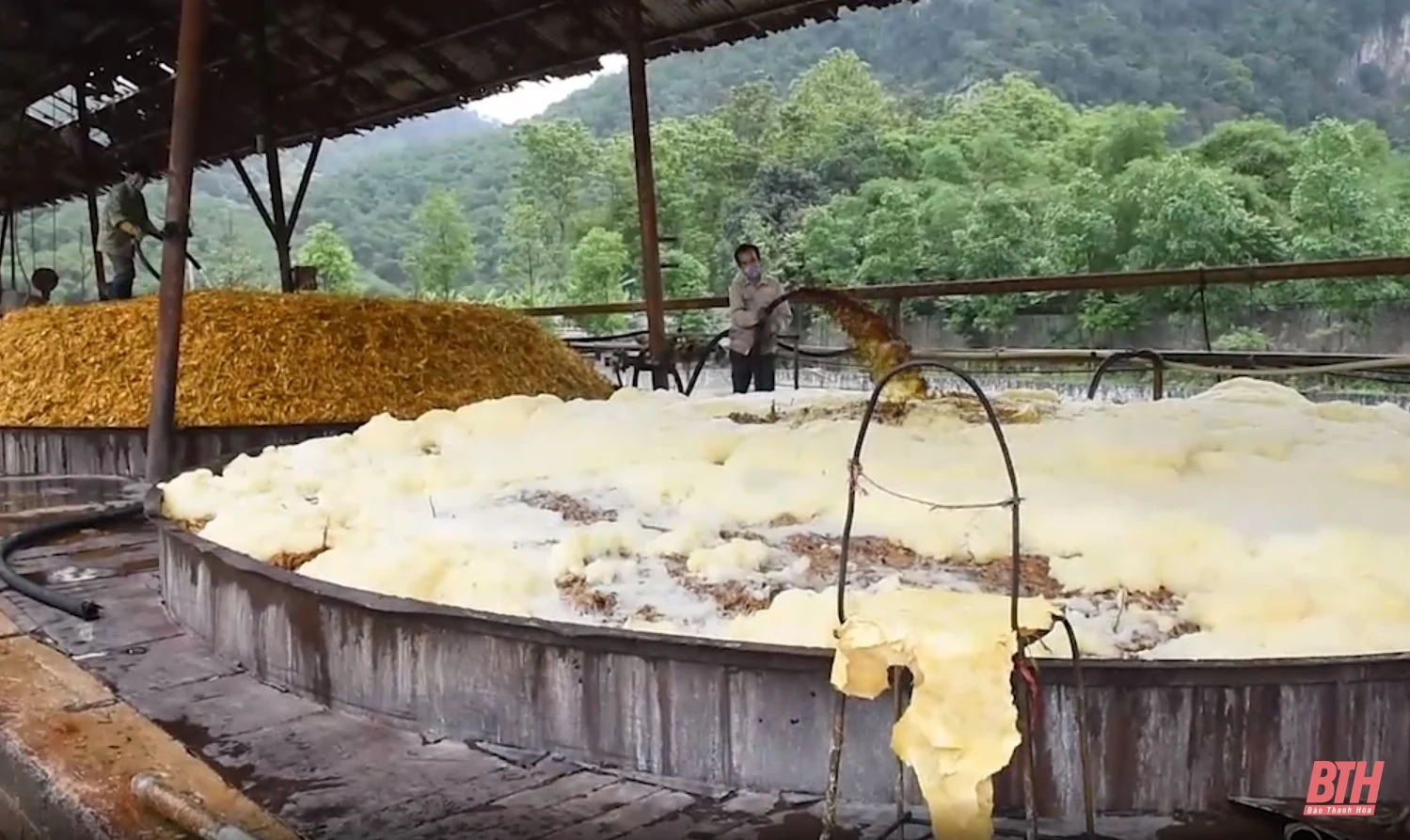 Đình chỉ hoạt động sản xuất giấy vàng mã và bột giấy của Công ty TNHH Tân Thái Thanh