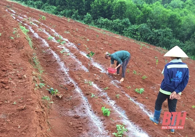 Đảng bộ xã Quang Trung phát huy vai trò lãnh đạo trong xây dựng nông thôn mới