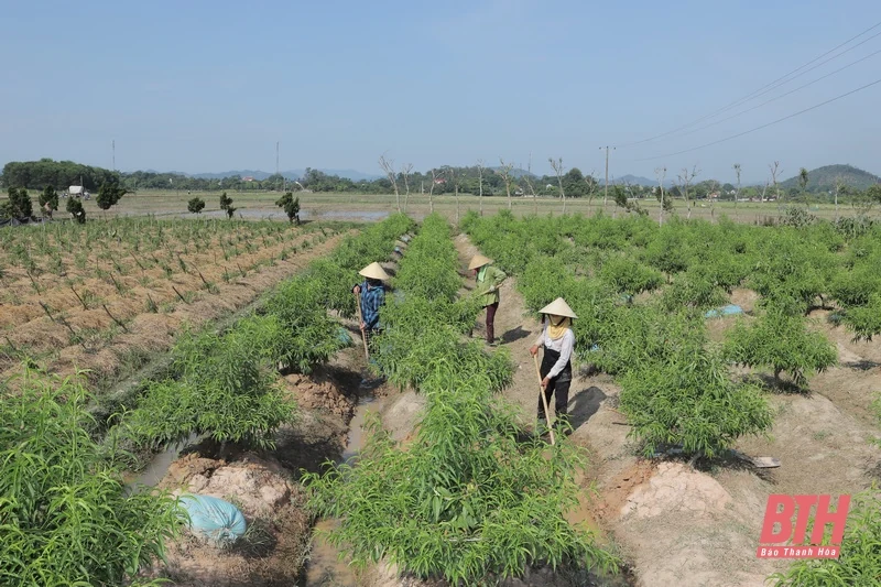 Đồng chí Bí thư Tỉnh ủy Đỗ Trọng Hưng thăm và làm việc tại huyện Triệu Sơn
