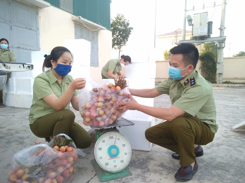 Cục Quản lý thị trường tỉnh Thanh Hóa hỗ trợ tiêu thụ 100 tấn vải thiều Bắc Giang