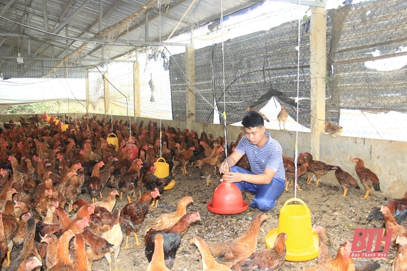 Huyện Lang Chánh tập trung thực hiện chương trình trọng tâm, khâu đột phá
