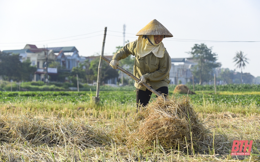 Vất vả mưu sinh dưới trời nắng nóng