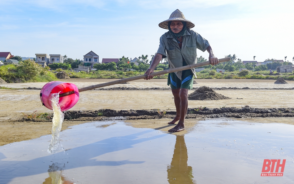 Vất vả mưu sinh dưới trời nắng nóng