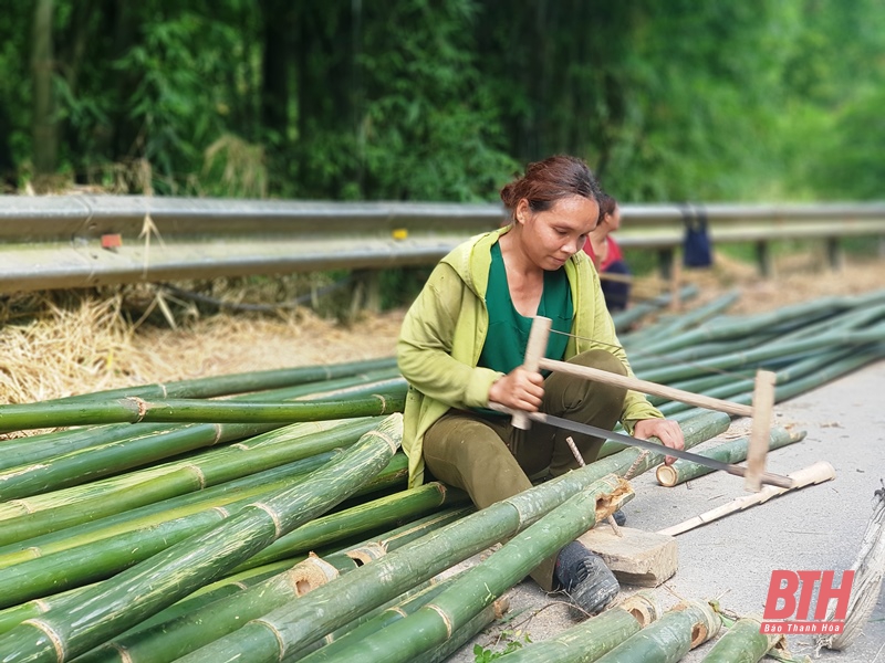 Cây xóa đói, giảm nghèo ở huyện biên giới Quan Sơn