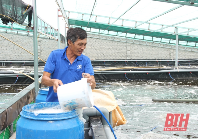 Kết quả chuyển đổi hình thức tổ chức sản xuất nông nghiệp