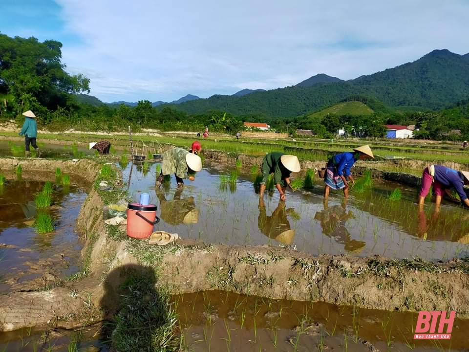 Hội LHPN xã Vạn Xuân (Thường Xuân) giúp đỡ những hộ bị ảnh hưởng bởi dịch COVD-19