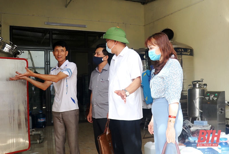 Ra quân thực hiện giai đoạn 2 Tổng điều tra kinh tế năm 2021