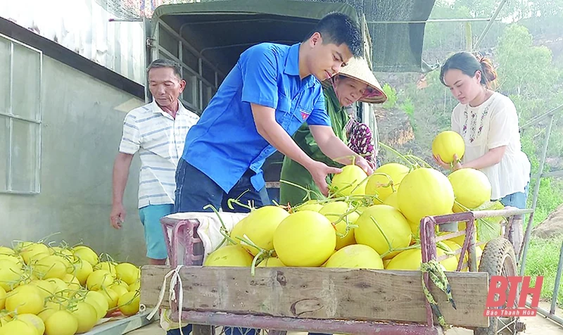 Để không còn nông nghiệp “giải cứu”, nông nghiệp “từ thiện”...