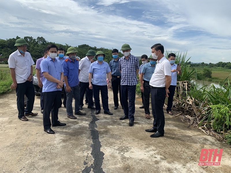 Phó Chủ tịch UBND tỉnh Lê Đức Giang kiểm tra, chỉ đạo khắc phục sự cố nứt mặt đê sông Bưởi