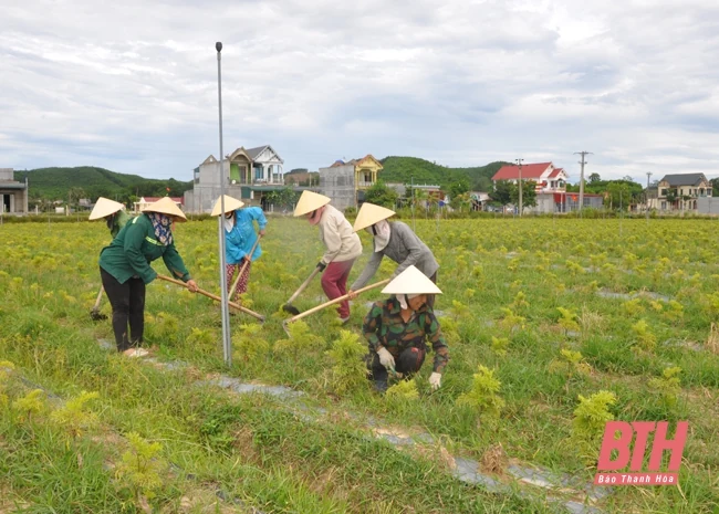 Huyện Như Thanh đẩy mạnh ứng dụng khoa học công nghệ trong phát triển nông nghiệp 