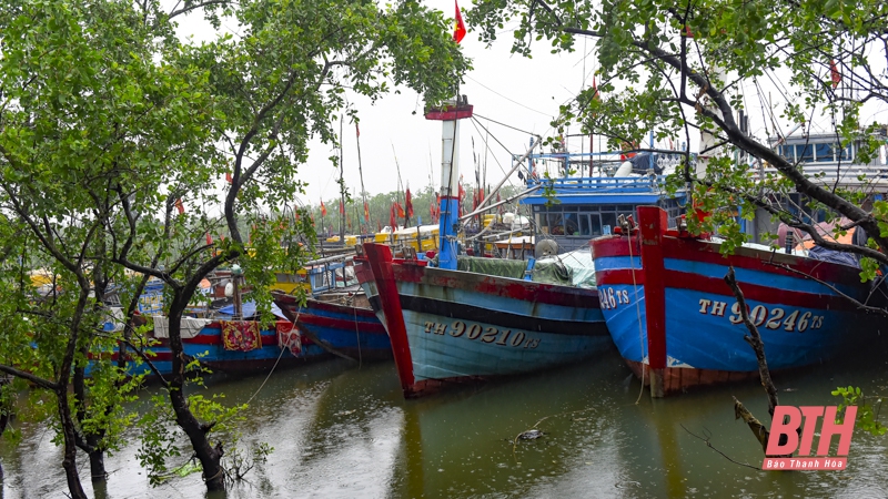 TP Sầm Sơn thực hiện nghiêm lệnh cấm biển, ứng phó với áp thấp nhiệt đới