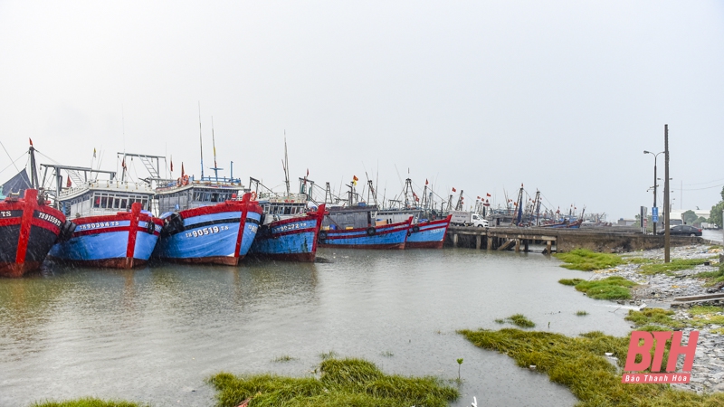 TP Sầm Sơn thực hiện nghiêm lệnh cấm biển, ứng phó với áp thấp nhiệt đới