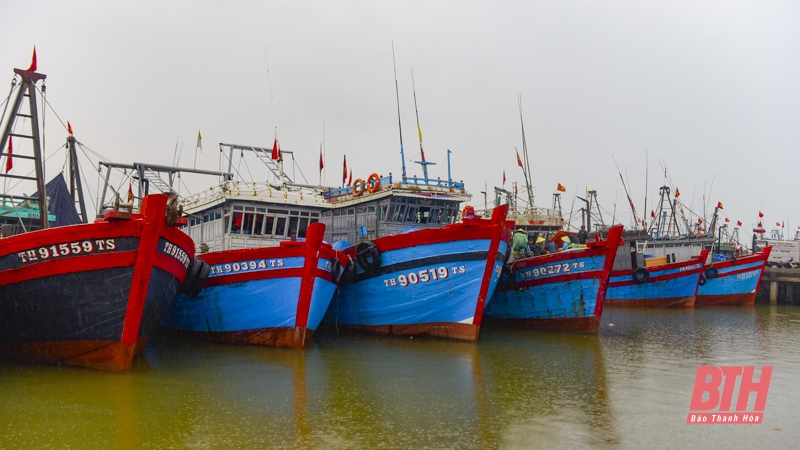 TP Sầm Sơn thực hiện nghiêm lệnh cấm biển, ứng phó với áp thấp nhiệt đới