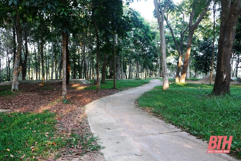 Đồi C4 anh hùng