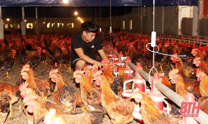 Xây dựng 10 cơ chế, chính sách phát triển nông nghiệp, nông thôn trên địa bàn tỉnh Thanh Hóa giai đoạn 2021-2025
