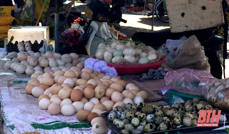 Giá trứng gia cầm tăng cao so với cùng kỳ