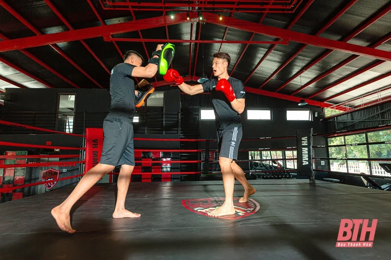 Võ thuật tổng hợp (MMA) và xu thế tập luyện TDTT hiện nay