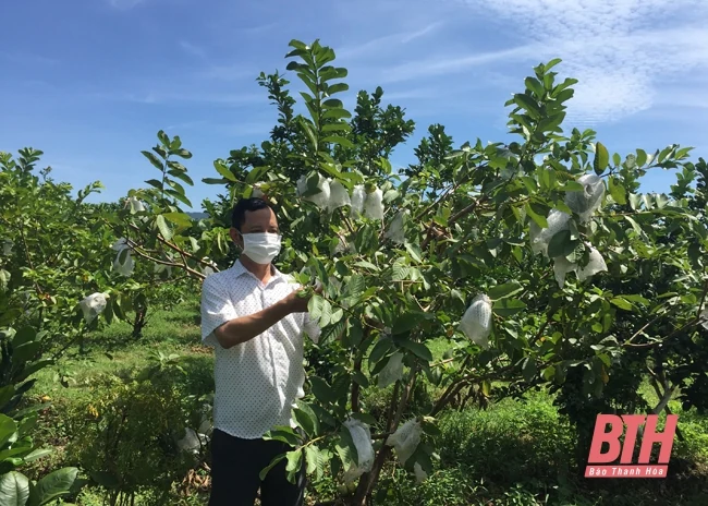 Huyện Ngọc Lặc đưa nghị quyết của Đảng vào cuộc sống bằng các chương trình, kế hoạch sát thực tiễn