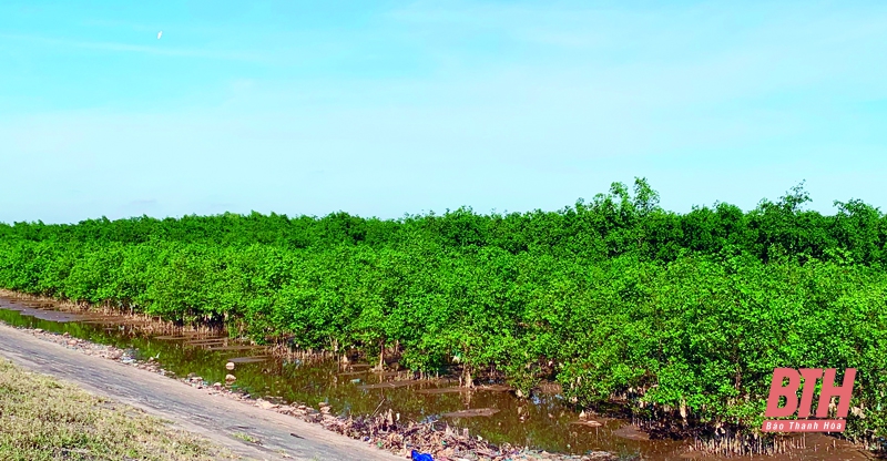 Nâng cao năng lực phòng, chống, giảm nhẹ thiên tai, ứng phó với biến đổi khí hậu