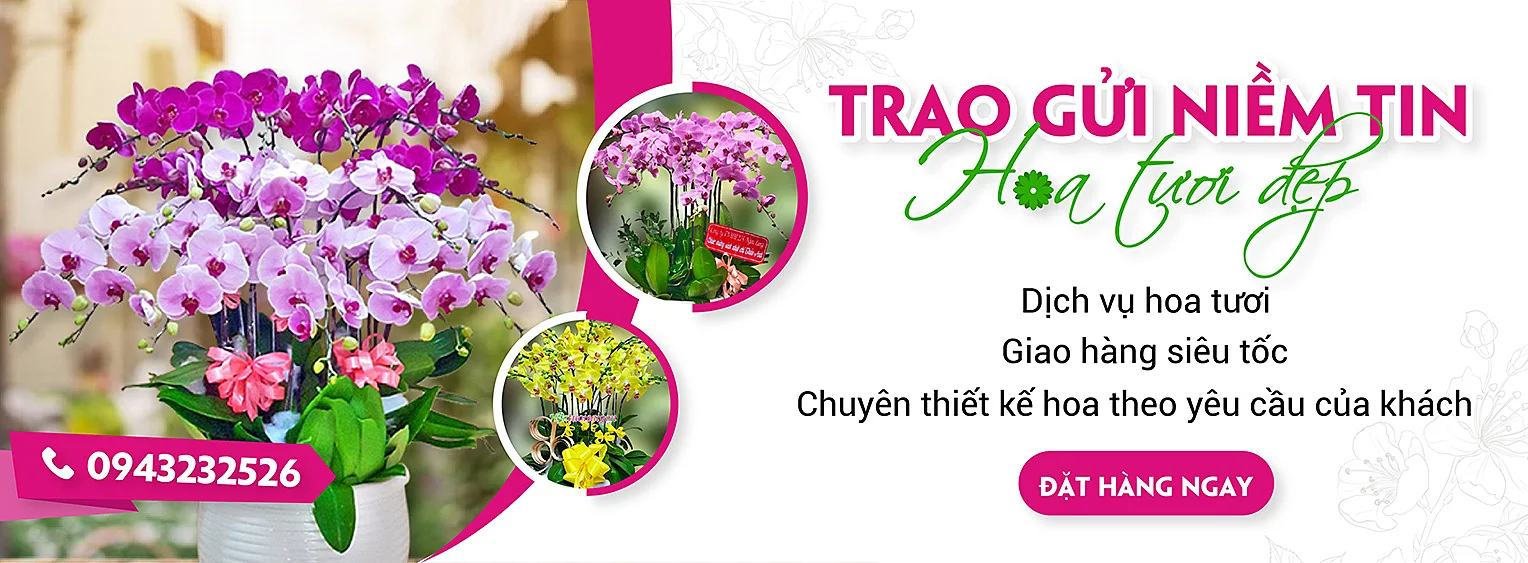 Khám phá thiên đường hoa tươi đẹp ngất ngây