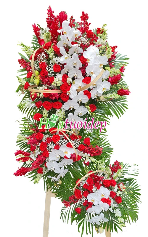 Khám phá thiên đường hoa tươi đẹp ngất ngây