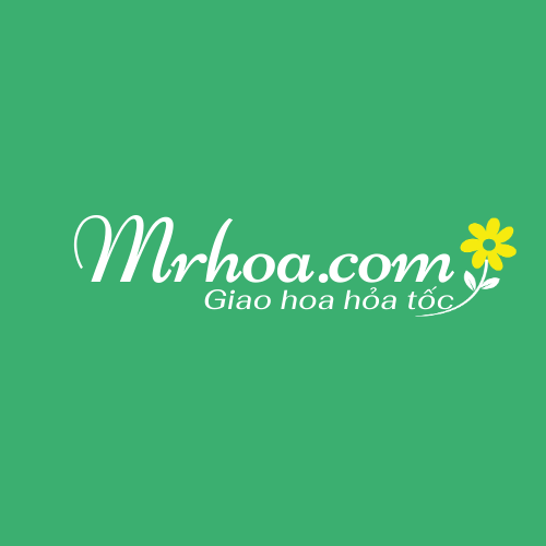 Shop hoa tươi Thanh Hóa MrHoa: Uy tín làm nên thương hiệu