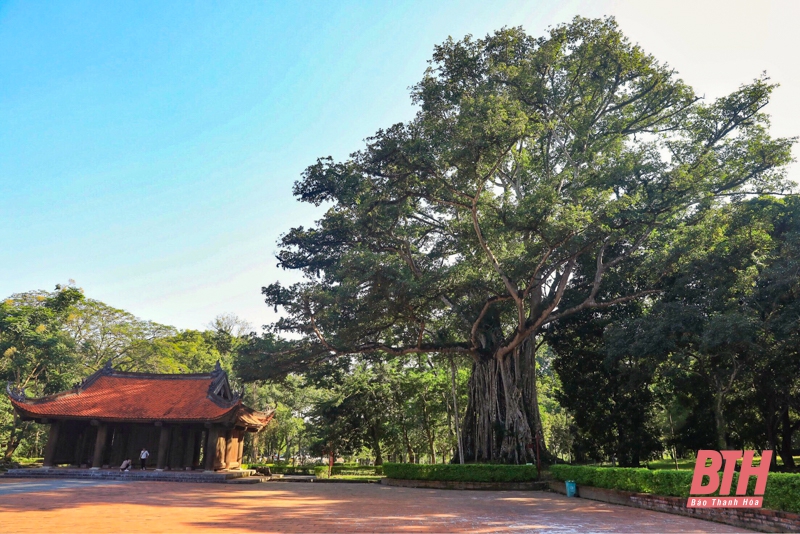 Thăm kinh thành cổ Lam Kinh