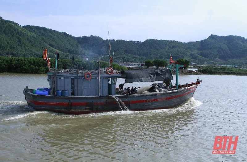 Chủ động kêu gọi tàu thuyền về nơi tránh trú bão số 7