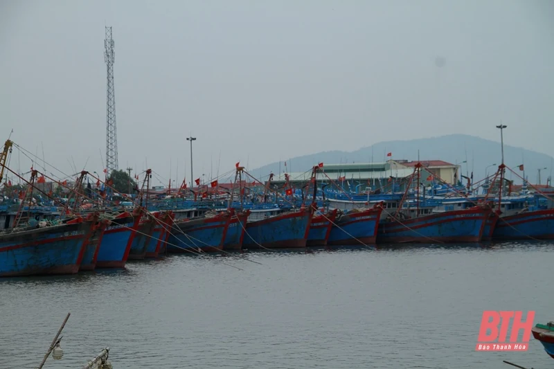 Chủ động kêu gọi tàu thuyền về nơi tránh trú bão số 7
