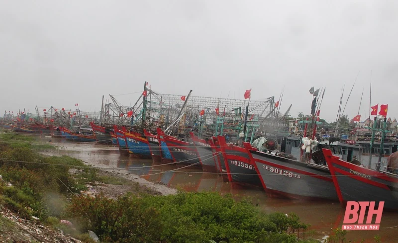 Chủ động kêu gọi tàu thuyền về nơi tránh trú bão số 7