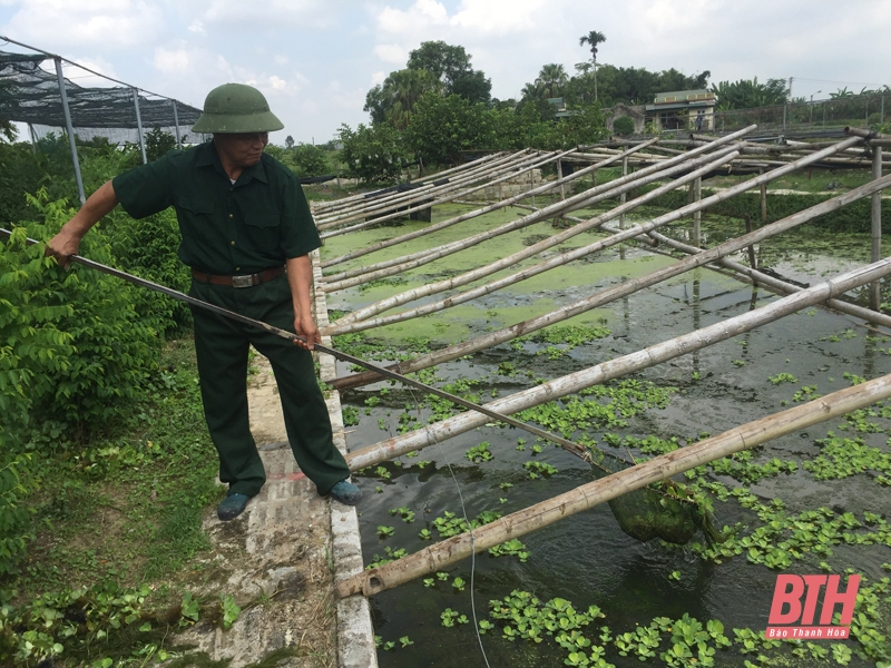 Những cựu chiến binh sản xuất giỏi ở Quảng Xương