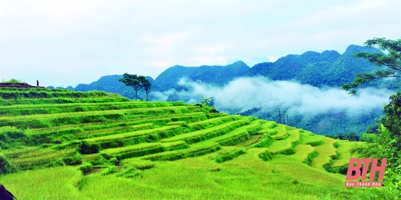 Từng bước đưa du lịch trở lại trạng thái “bình thường mới”