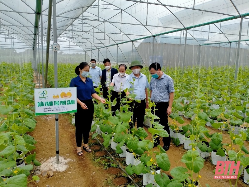 Giám sát việc thực hiện tích tụ, tập trung đất đai cho sản xuất nông nghiệp tại huyện Ngọc Lặc