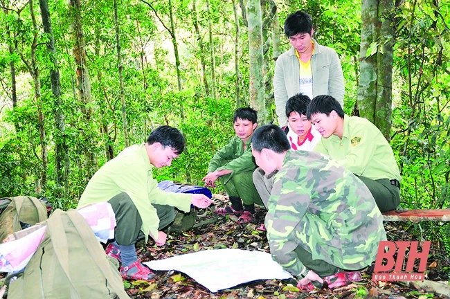 Ứng dụng khoa học công nghệ trong lâm nghiệp