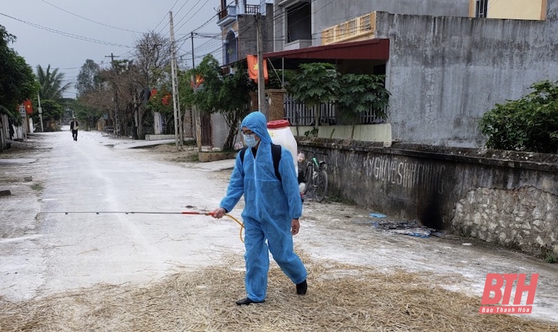 Thanh Hoá chủ động các biện pháp phòng, chống bệnh dịch tả lợn châu Phi