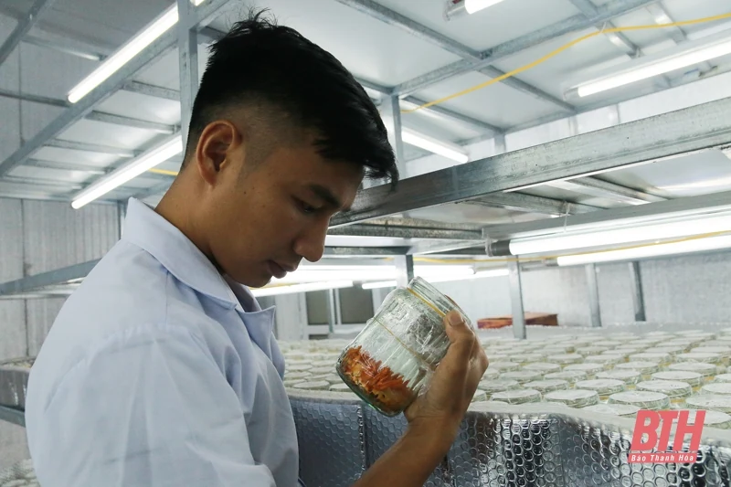 Người trẻ bỏ phố về quê làm nông dân