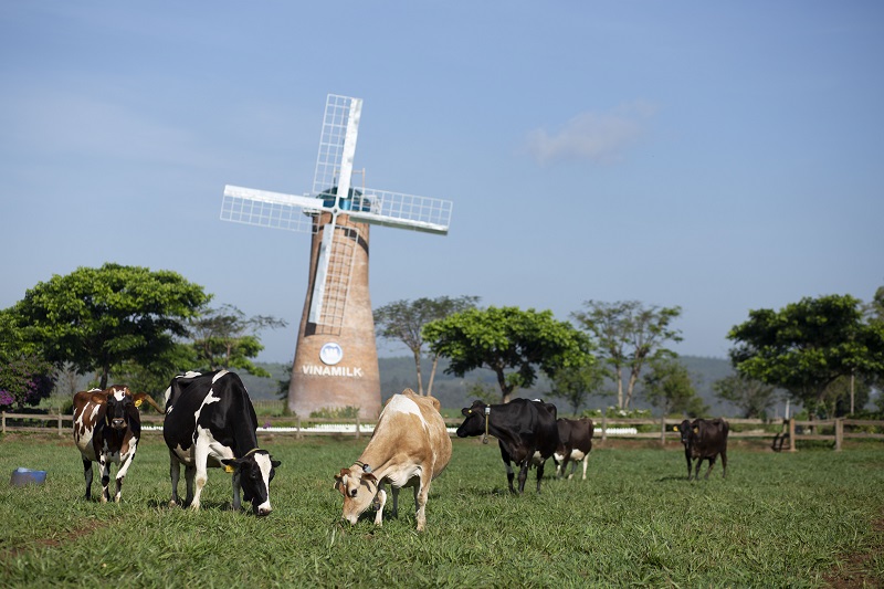 Vinamilk ra mắt sữa tươi Organic “tiêu chuẩn kép” tại triển lãm quốc tế hàng đầu tại Thượng Hải