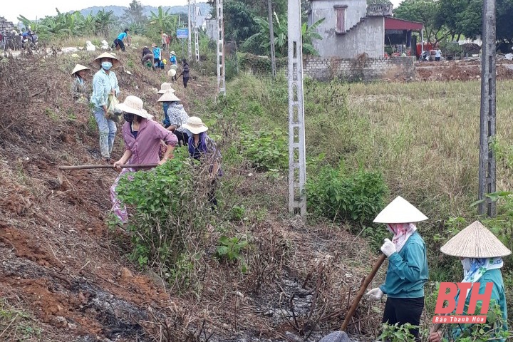 Hội LHPN xã Hà Tiến xây dựng điểm mô hình trồng cây dược liệu thay thế cỏ dại