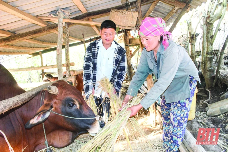 Phát triển kinh tế - xã hội vùng đồng bào dân tộc Mông