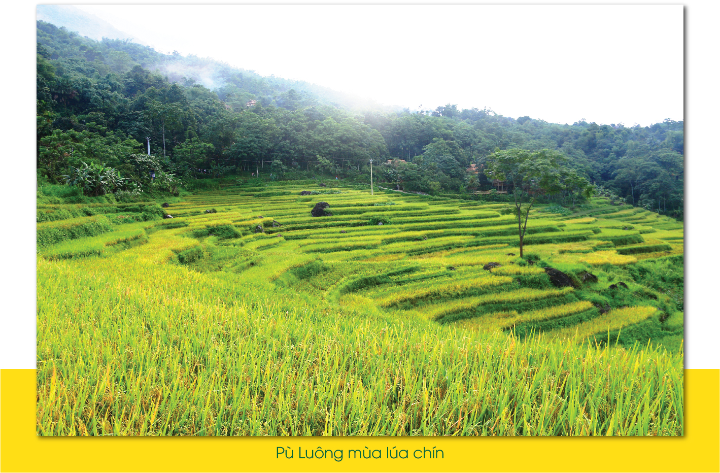 [E-Magazine] - Khơi mạch nguồn văn hóa - tạo động lực phát triển