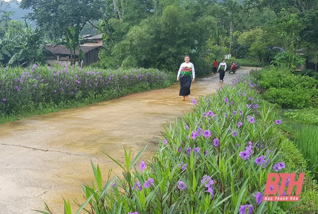 Ban hành quy định công nhận xã, phường, thị trấn đạt tiêu chí an toàn thực phẩm nâng cao