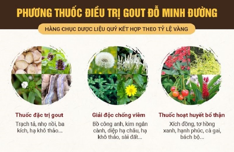 Bệnh Gout ăn gì kiêng gì? Giải pháp đẩy lùi bệnh từ bài thuốc Gout của Lương y Đỗ Minh