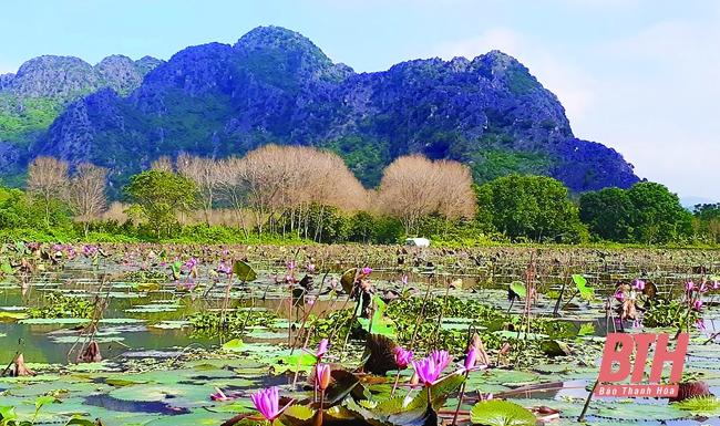 Bừng thức Kim Sơn...