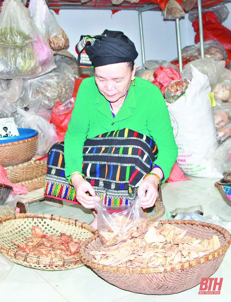 Lương y Lang Thị Quynh