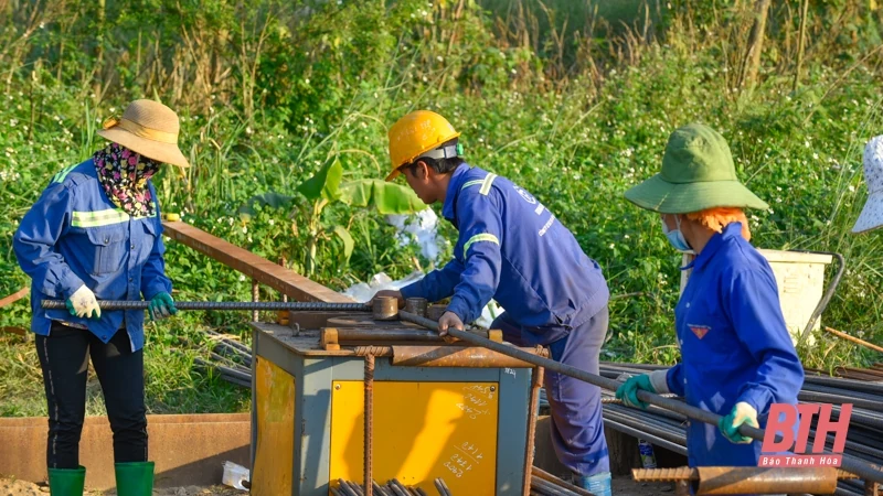 Cầu trên cao tốc Bắc Nam vượt sông dài nhất Thanh Hoá